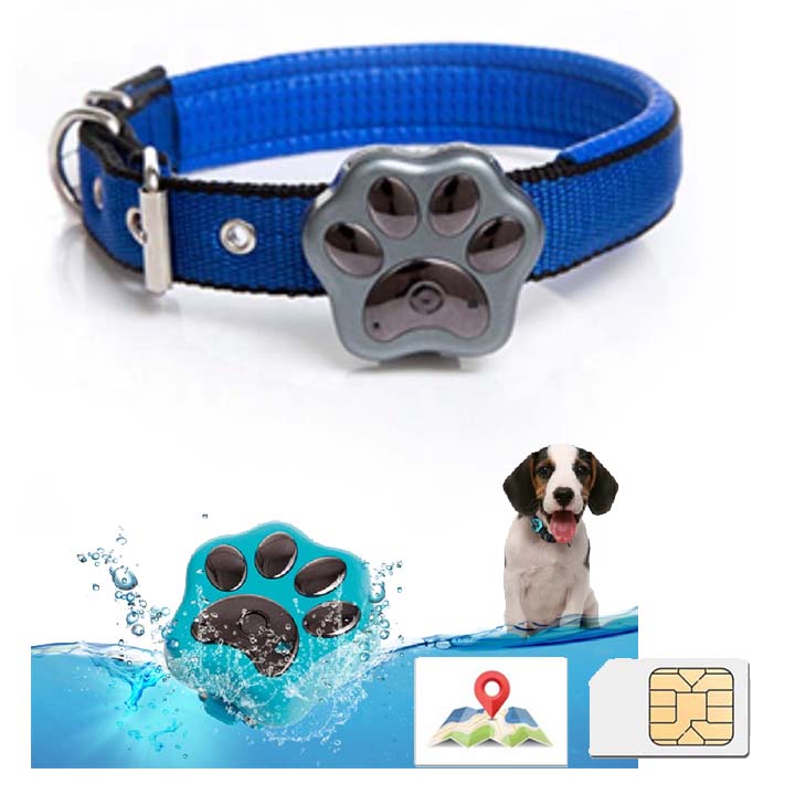 ZEERKEER Rastreador GPS para mascotas, seguimiento GPS para perros y  buscador de mascotas, accesorio GPS para collar de perro, localizador  impermeable, dispositivo de seguimiento para perros, gatos, : Productos  para Animales 